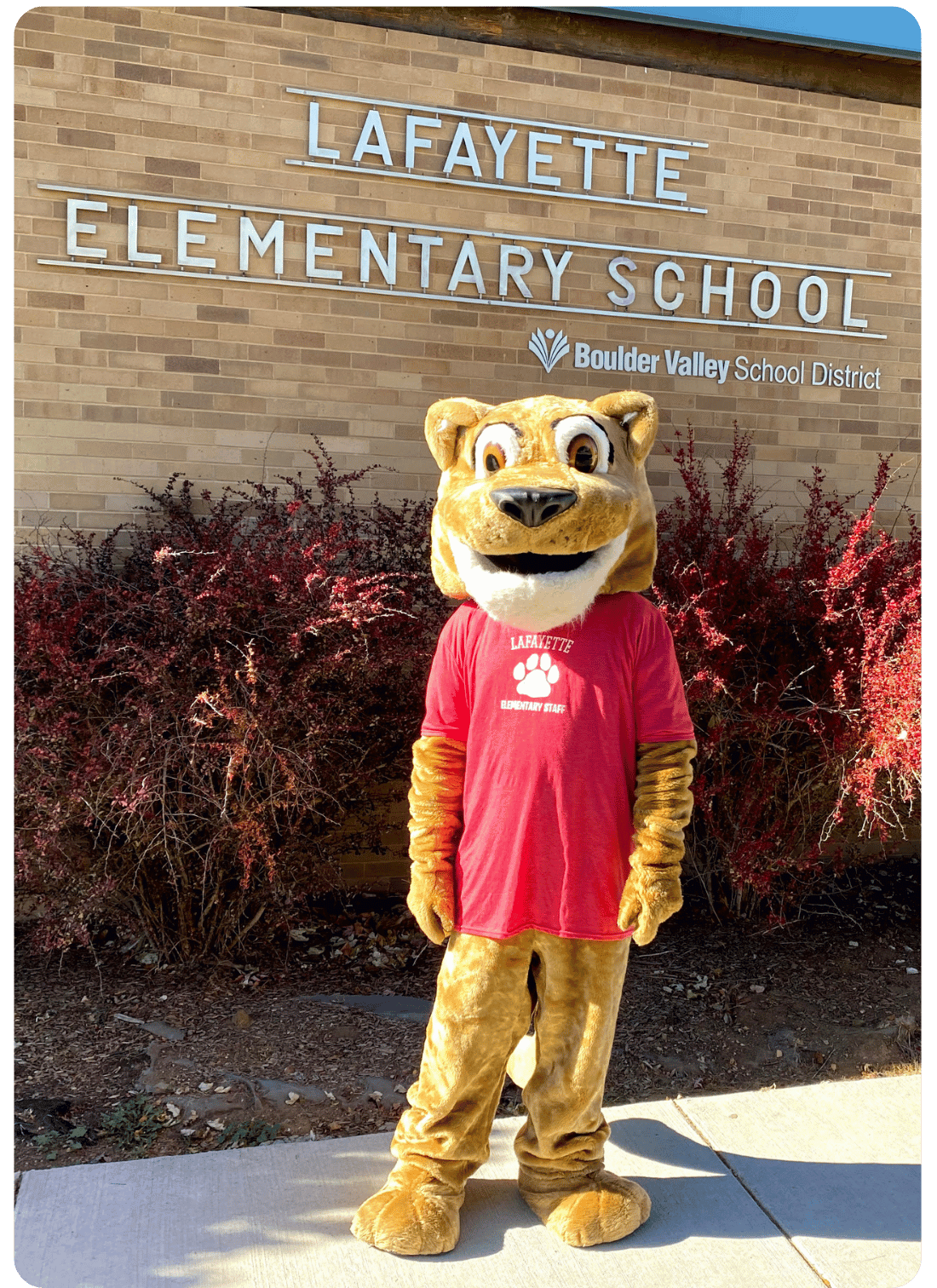 CT, our cougar mascot